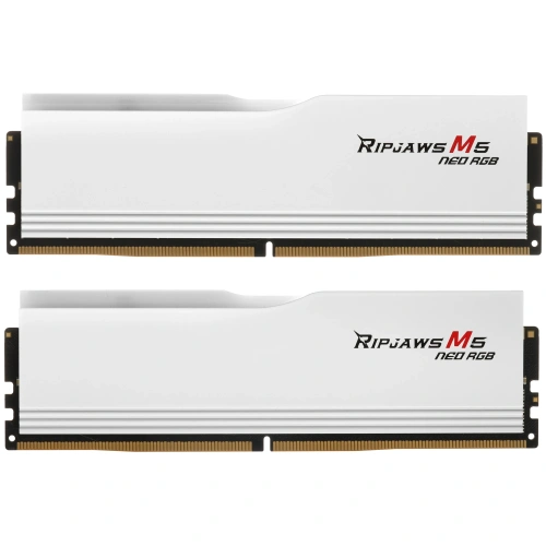 Оперативная память G.Skill RIPJAWS M5 NEO [F5-6000J3036F48GX2-RM5NRW] 96 ГБ