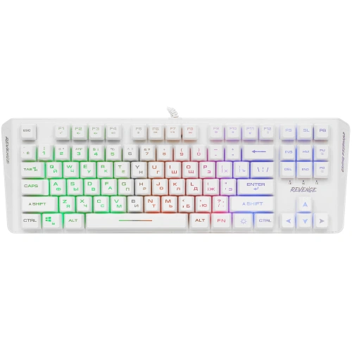 Купить клавиатура проводная aceline gs revengew