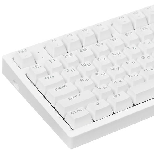 Купить клавиатура проводная ardor gaming immortality tkl