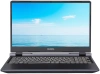 Купить 15.6" ноутбук colorful evol p15 24 серый