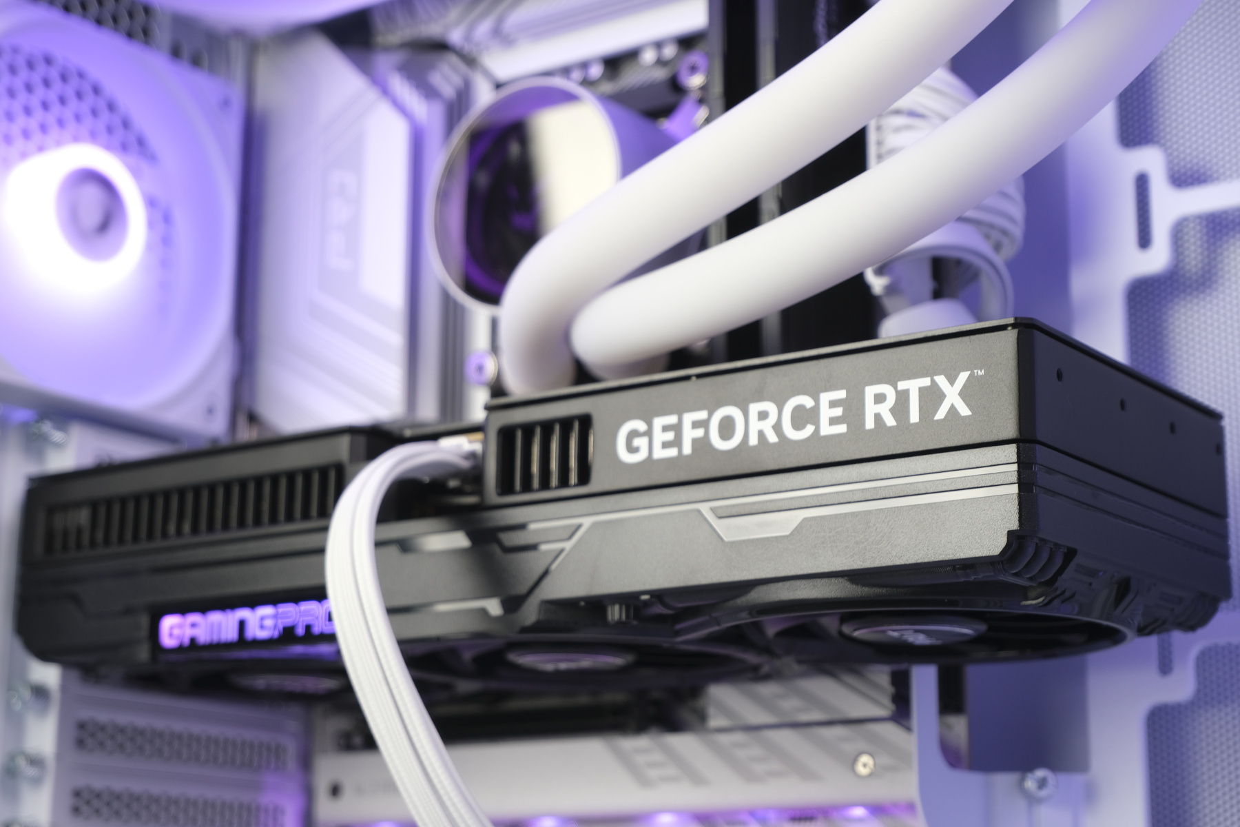 Купить amd ryzen 9 9950x3d, rtx 5080, ddr5 16 gb, 1000gb, 1000gb
