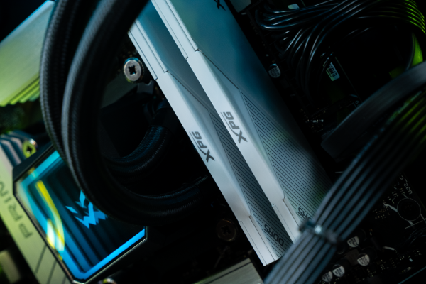 Купить графическая станция amd ryzen 9 9900x, nvidia quadro p6000 24gb