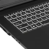 Купить 17.3" ноутбук colorful evol x17 pro max серый