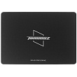 512 ГБ 2.5" SATA накопитель Tammuz GK300 [TGK30512A58]