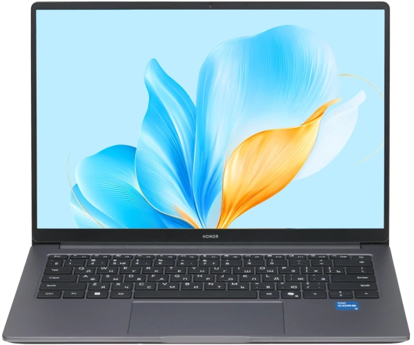 Купить 14" ноутбук honor magicbook x14 2025 5301alxl/frg-x серый