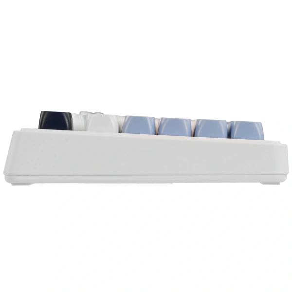 Купить клавиатура проводная + беспроводная ajazz af98 plus