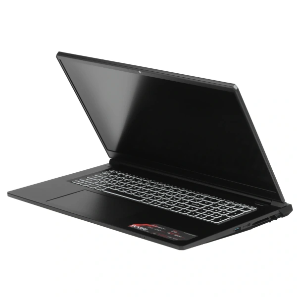 Купить 17.3" ноутбук ardor gaming rage r17-i5nd403 черный