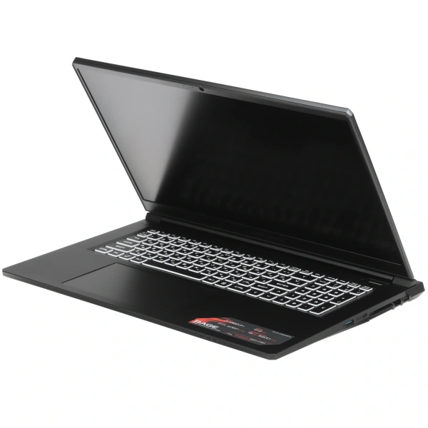 Купить 17.3" ноутбук ardor gaming rage r17-i7nd404 черный