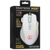 Купить мышь проводная panteon ms87 [panteonms87white(122)] белый