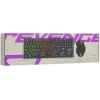 Купить клавиатура+мышь  проводная  aceline gs revenge combo черный