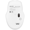 Купить мышь беспроводная dexp wm-m5  белый