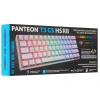Купить клавиатура проводная panteon t3 cs hs rb [panteon t3 cs hs rb (30)]