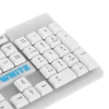 Купить клавиатура проводная defender white gk-172 [45172]