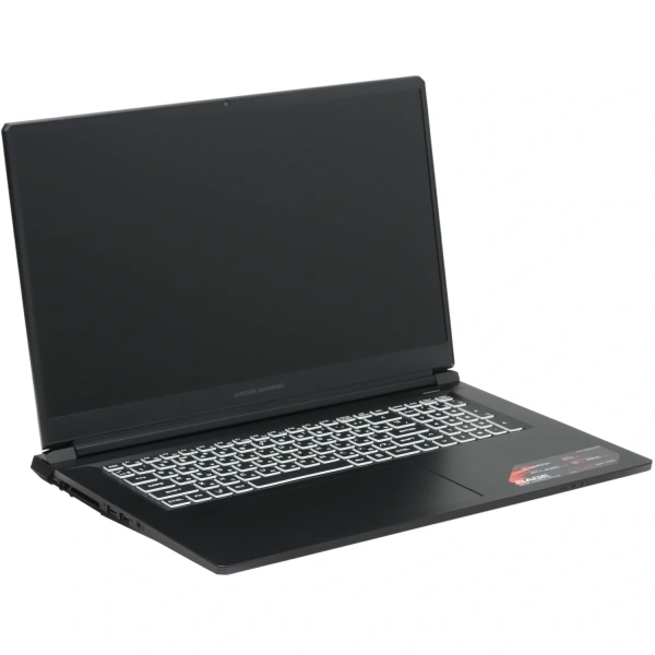 Купить 17.3" ноутбук ardor gaming rage r17-i5nd413 черный