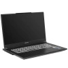 Купить 17.3" ноутбук colorful evol x17 pro max серый